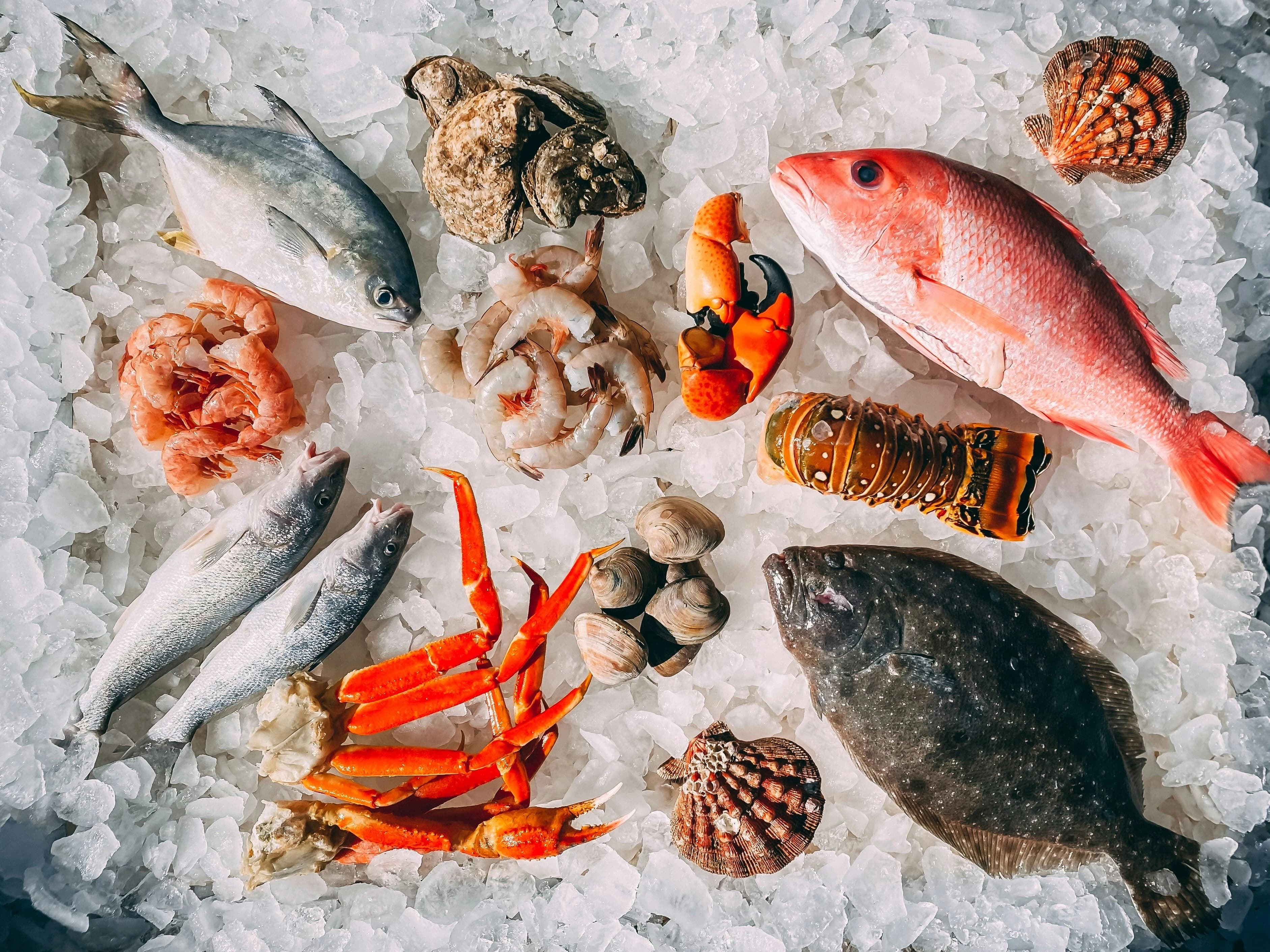 O crescimento da gastronomia de Itapema e como ela valoriza o estilo de vida na cidade